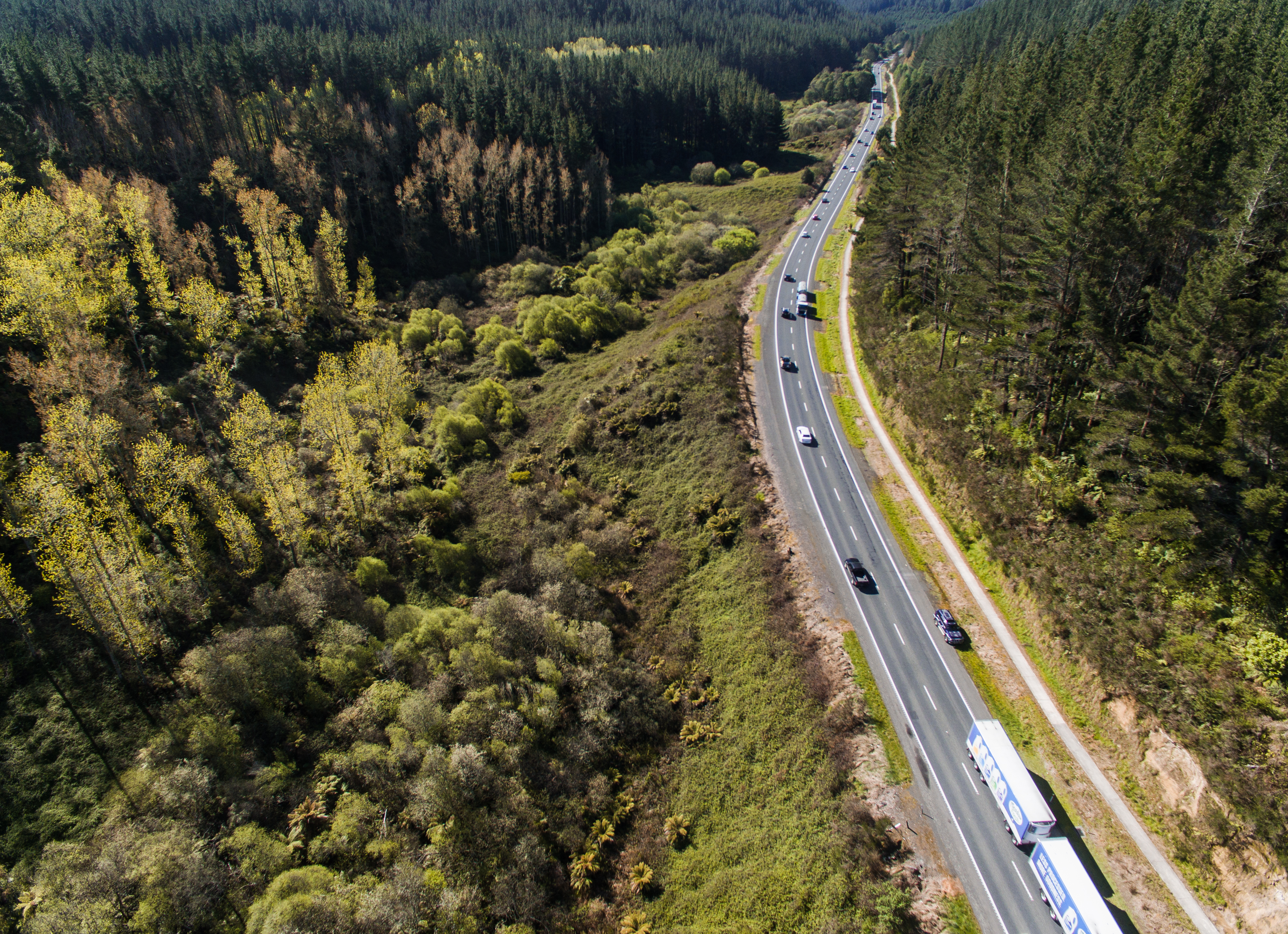 Cars and trucks driving on NZ road, surrounded by forest.